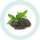Ceai Verde