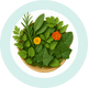 Polyplant Hair GNBN