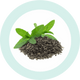 Extract de Ceai Verde