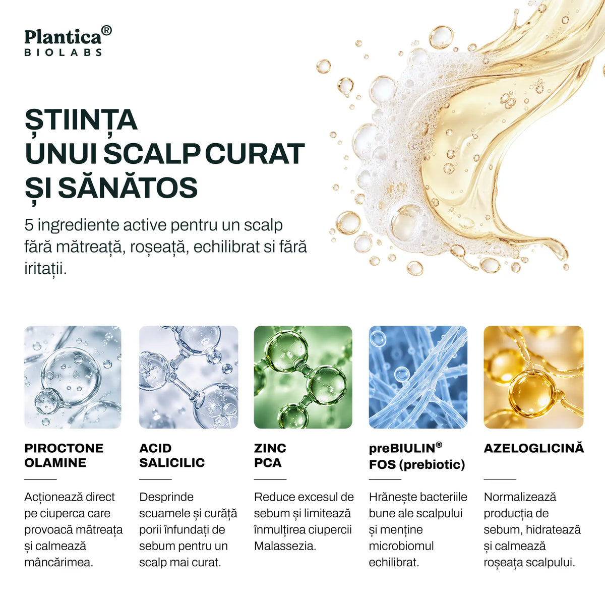 Set Derm Expert – Anti-mătreață și control sebum, pentru scalp gras