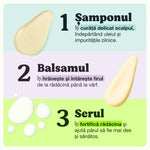 Pașii setului Regen Expert pentru căderea părului: șampon curăță scalpul, balsam întărește firul, serul fortifică rădăcina.