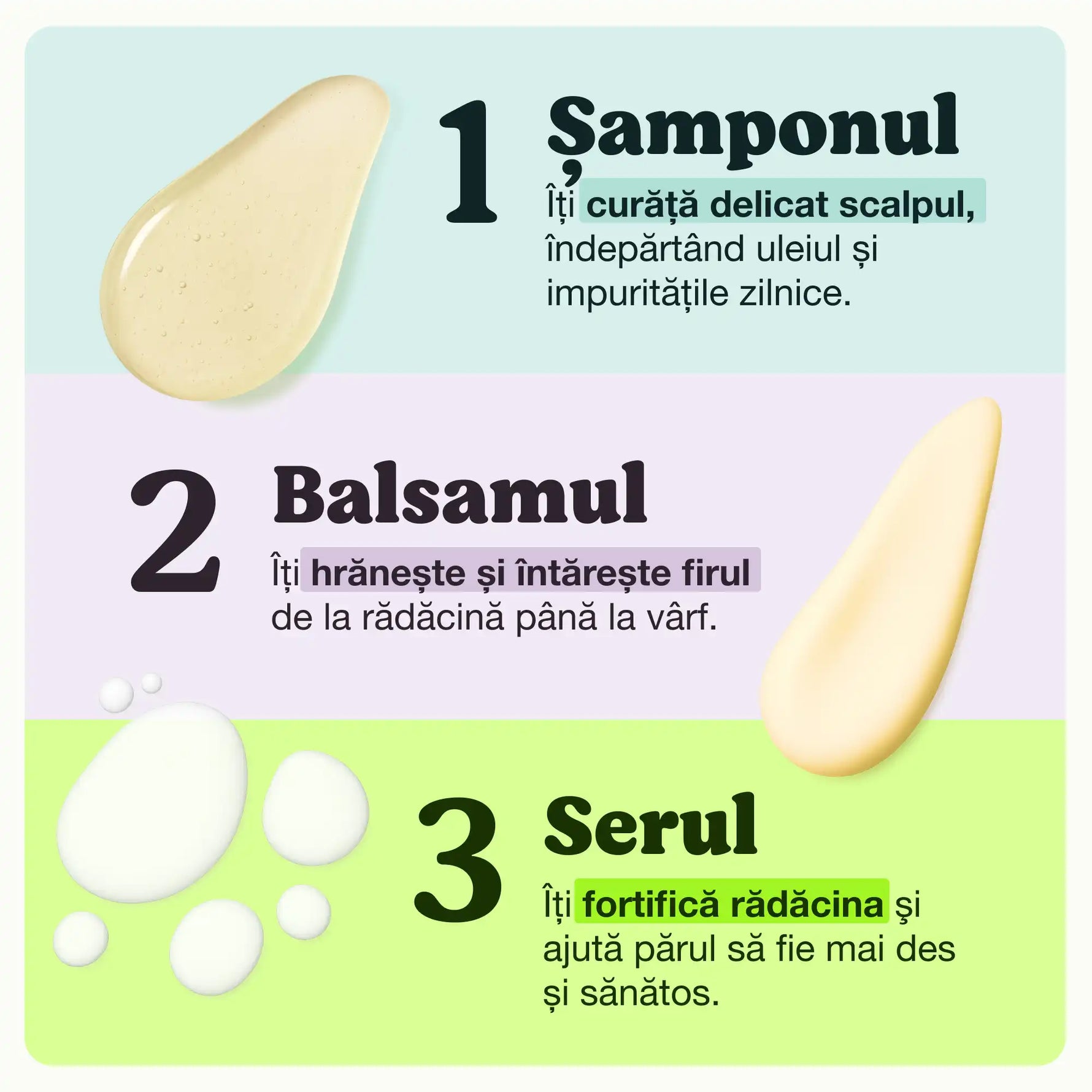 Pașii setului Regen Expert pentru căderea părului: șampon curăță scalpul, balsam întărește firul, serul fortifică rădăcina.