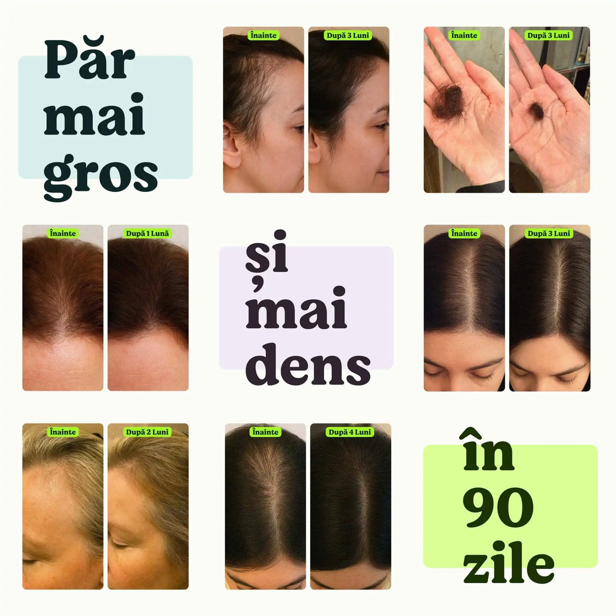 Înainte și după Plantica Biolabs – creșterea părului și reducerea căderii vizibile, transformări în 90 de zile ale clienților.