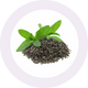 Extract de Ceai Verde
