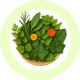 Polyplant Hair GNBN