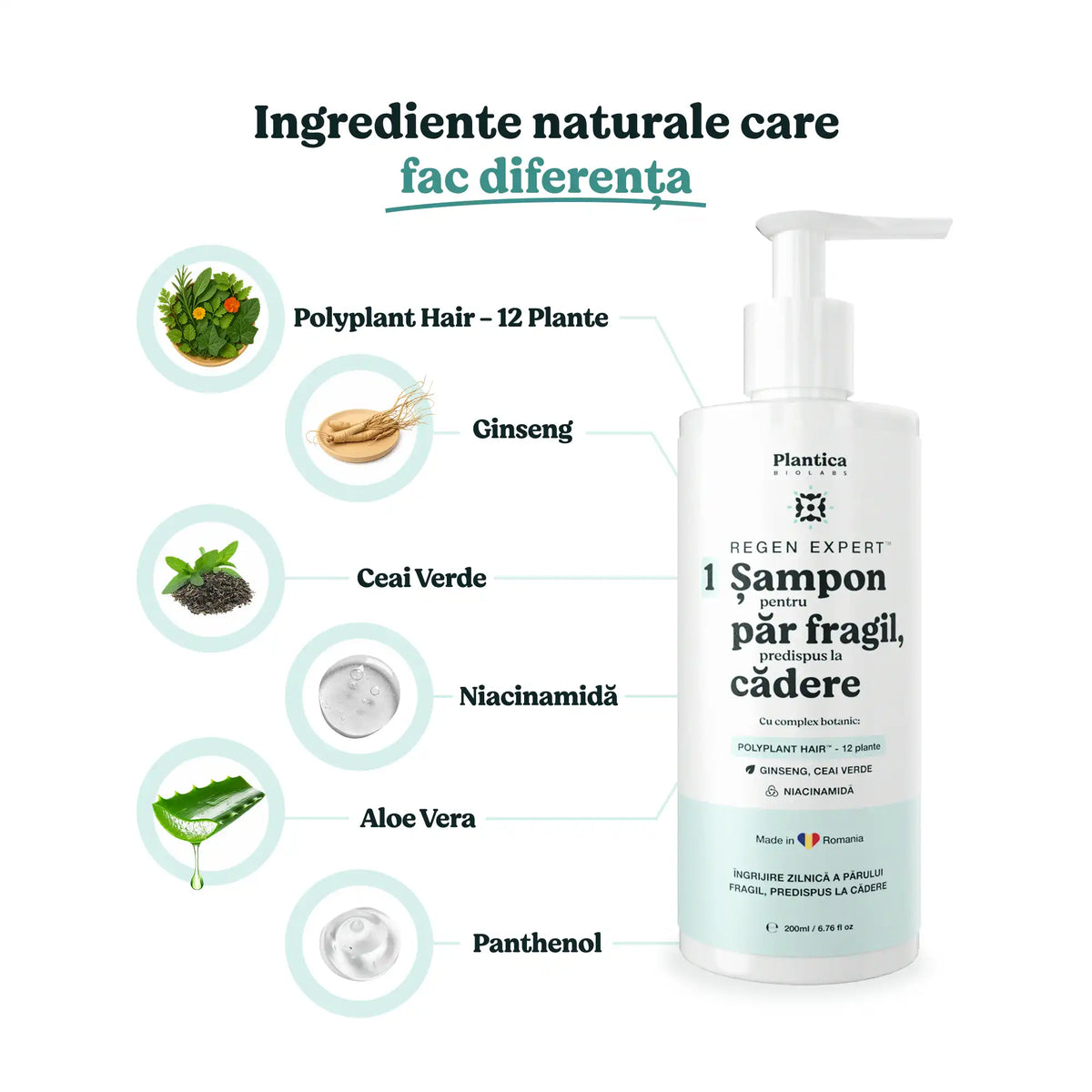 Ingrediente active din șamponul anti căderea părului: polyplant, ginseng, ceai verde, niacinamidă, aloe vera, panthenol.